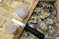 Oysters Fine De Claire
